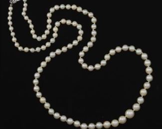 Ladies Gold and Pearl Necklace 