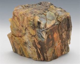 Prehistoric Agatized Petrified Wood