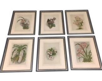 Large Botanical Prints, Set of 6
DESCRIPTION
Featuring slim frames, these antique prints will bring an historic touch to your living room, library, or office. Each one measures 24in x 29.5in and is ready to hang. Gorgeous!
