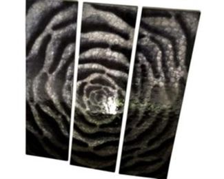 Abstract Flower Triptych
DESCRIPTION
3 pieces, each piece is 14in wide.
DIMENSIONS
42 x 47.5 x 1 in