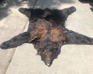Bear Skin