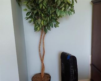 Multiple Silk Tree's Available -air purifier not for sale 81" Tall