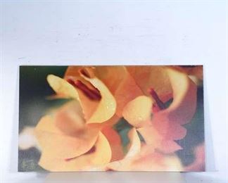 Extra Large 5.75'X3.3' Floral Canvas Print