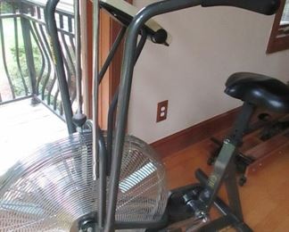 stationary bike airdyne Schwin