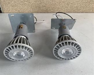 2 Incandescent LED Luminaires
