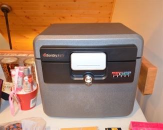 Sentry safe