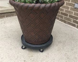 . . . a nice large potted plant