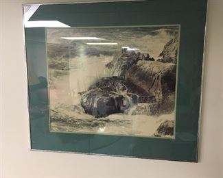 . . . another nature piece