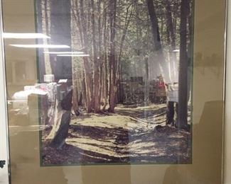 . . . another piece of nature art