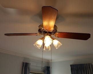 Ceiling fan/light