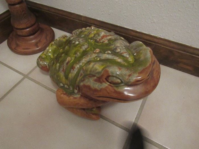 this frog is so ugly that he is cute