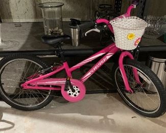 Item 246:  Girl's Specialized HotRock Bike: $150