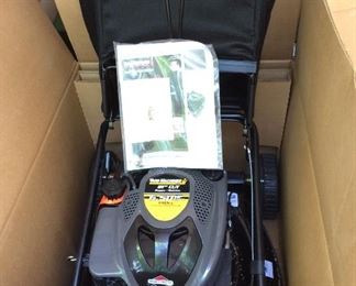 New in Box Briggs and Stratton 