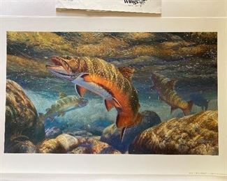 Mark Susinno, Angler fish print