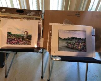 Many original watercolor paintings 