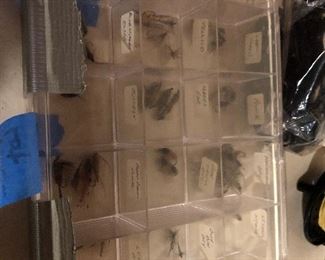 Box of mixed flys sorted and labeled. 
