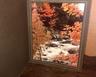 Lot 45B, Amazing Kodak photo, New York State Festival 1981, $8