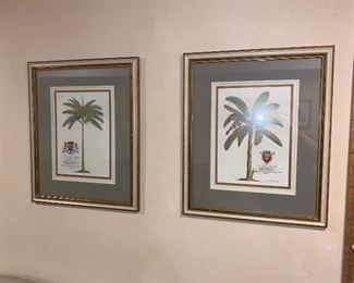 Two Palm Framed Prints $18 for the pair