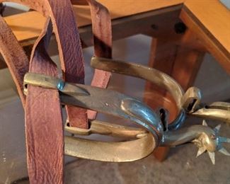 Western Spurs