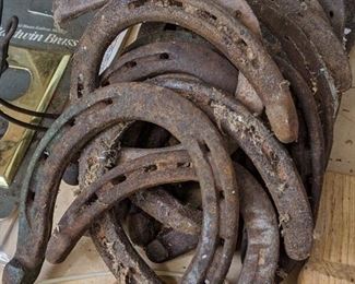 Horse Shoes