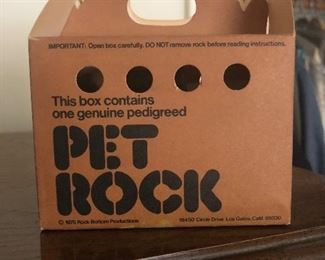 Pet rock 