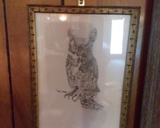 Hand drawn owl