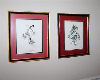 #77 - Bird Artwork - Set of 4