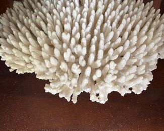 17” ROUND WHITE
CORAL