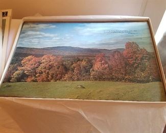 Vintage Plastic Placemats $10 box