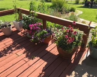 even more plants planters