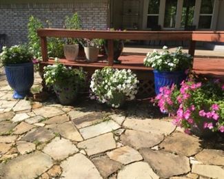 more plants planters