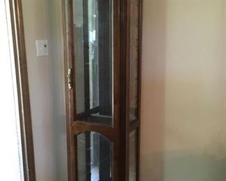 tall narrow display cabinet
