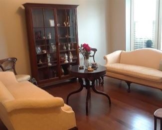 Large double door glass bookcase