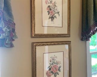 Lot P9, Pair of Botanical Prints, $30/pair