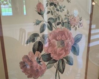 Lot P9, Pair of Botanical Prints, $30/pair