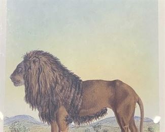 Mixed Media Illustration of Lion