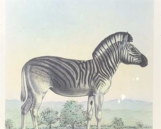Mixed Media Illustration of Zebra
