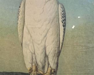 Framed Lithograph, Perched Hawk