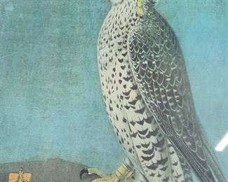 Framed Lithograph of Hawk