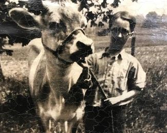 Boy and Cow Wall Scroll Poster