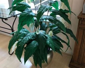 Imitation Spath plant