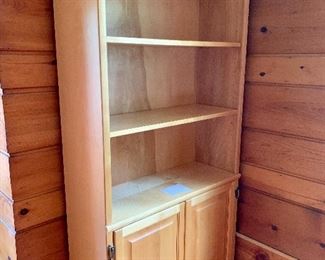 $100 Bookcase with lower cabinet AS IS