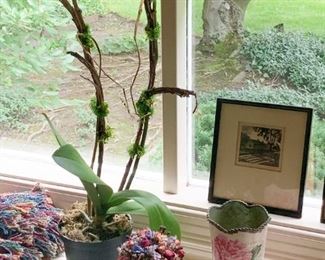 Live Orchid, Decorative Florals