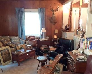 Upright mount deer, love seat, stools, chairs, lamps, wall art, dresser, books, seal skin seal