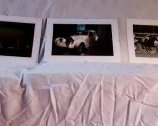 Matted photographs