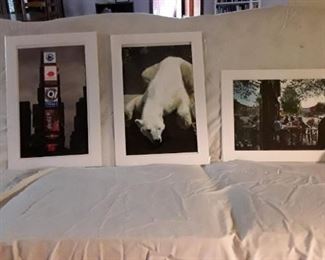 Matted photographs