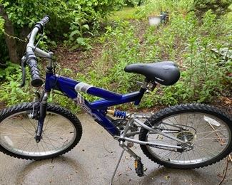 Bike $100