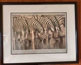 $20 Zebra print 