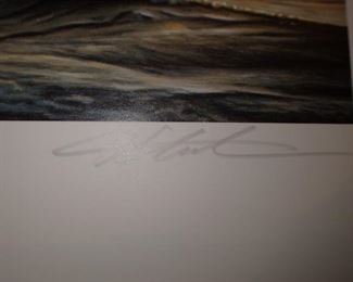 JAMES HAUTMAN - 1999 - 3583/12500 - 2 DUCKS FLYING
