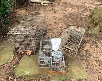 Have a heart traps, firewood